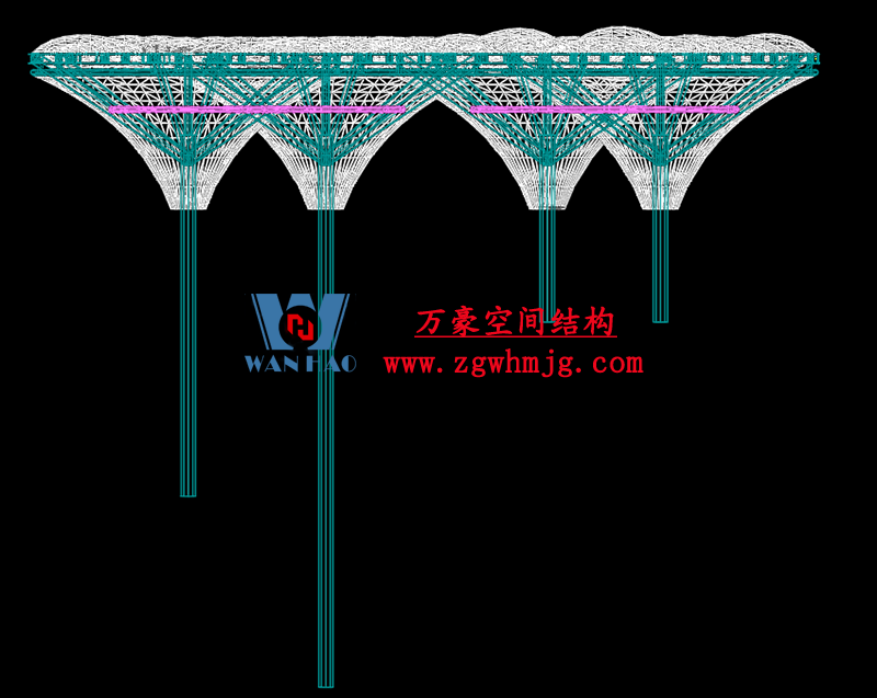膜結構